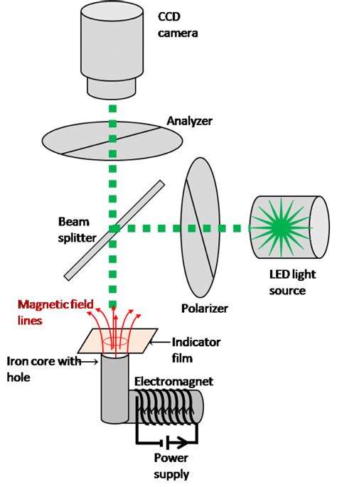 Color Online The Schematic Diagram Of Magneto Optical Imaging Setup