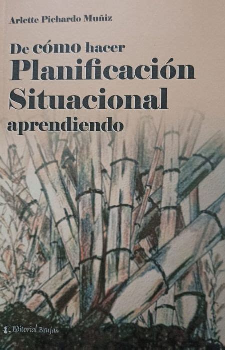 De cómo hacer planificación situacional aprendiendo PICHARDO MUNIZ