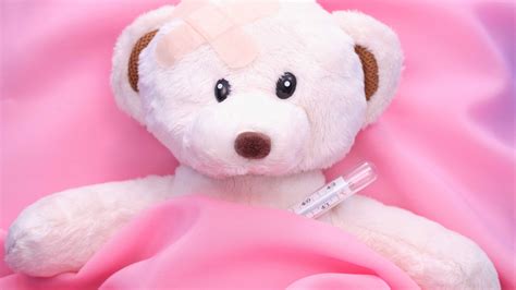 Pink Teddy Bear In Pink Cloth Background 4K HD Teddy Bear Wallpapers ...