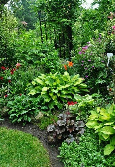 Garden Border Plants Shade - Diy Projects