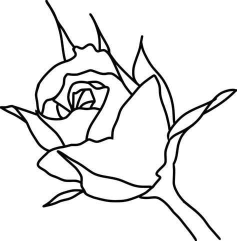 Sketch of Rose Flower 22783680 Vector Art at Vecteezy