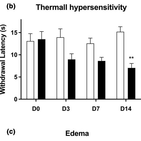 Effect Of Complete Freund S Adjuvant On Pain Perception Intraplantar