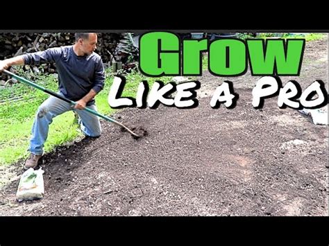 How To Plant Grass Seed A Simple Guide To Success Atelier Yuwaciaojp