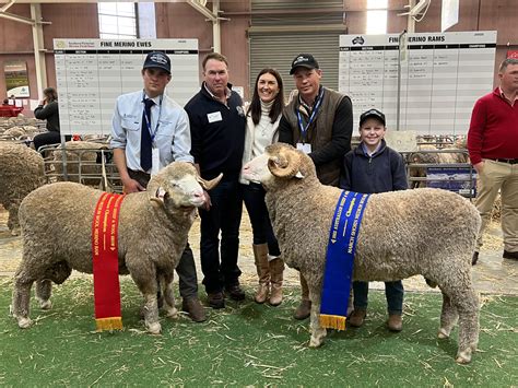 Australian Sheep Wool Show Results Collinsville Stud Merinos