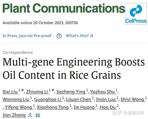 中国水稻研究所张健团队利用合成生物学手段成功创制籽粒油脂含量媲美大豆的水稻种质 知乎