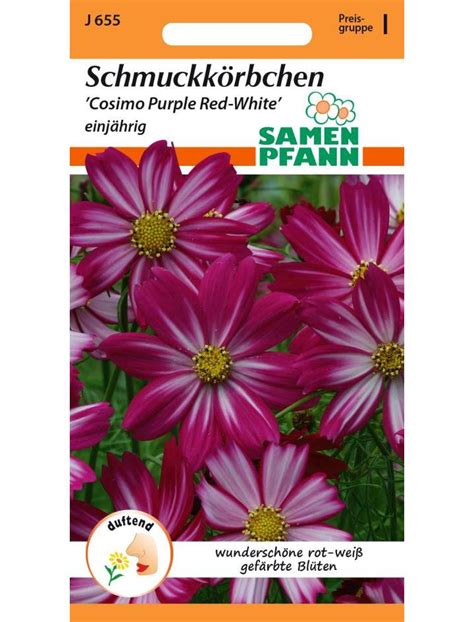 Schmuckkörbchen Cosimo Purple Red White Lemo Gartendesign