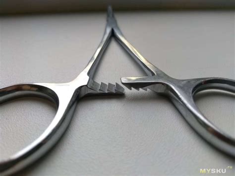 Корцанг - что это такое, фото и сценарии превращения анатомического ...