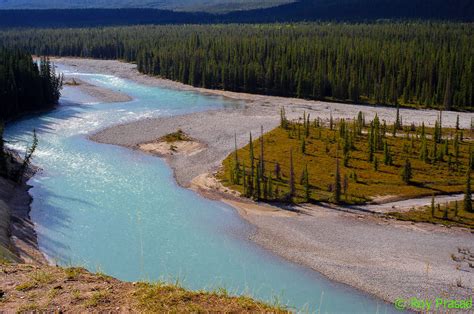 Athabasca River Banff National Park Alberta Cana Flickr