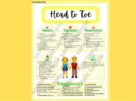 Head To Toe Assessment Cheat Sheet Guide Clinical Rotation Etsy Uk