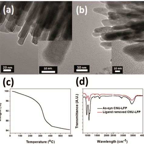 A Sem Image Of Nano Urchin Shaped Lifepo Nanoparticles Nu Lfp Nps