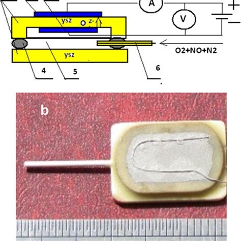 a Schematic view of the amperometric sensor: 1, solid electrolyte; 2,... | Download Scientific ...