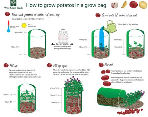 Potato/Tomato Grow Bags (3 bags) – West Coast Seeds