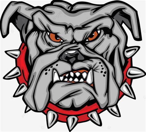 Bulldog Cartoon Face Vector Illustration Pit Bull Collar Bulldogs