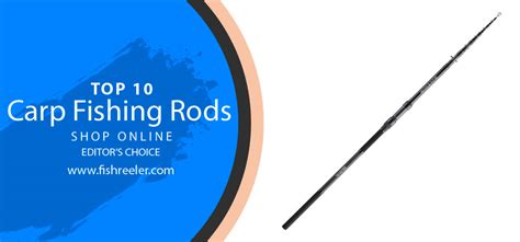 Top 10 Best Rods for Carp Fishing - Expert Guide & Reviewed 2022