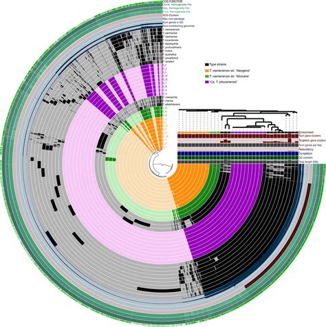 Pangenome Analysis Of All Thalassospira Genomes Included In The Study