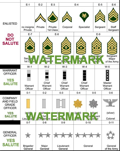 2024 UNITED STATES ARMY RANK CHART PHOTO REFERENCE ENLISTED OFFICER ALL