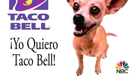 Petition · Taco Bell Dog Show - United States · Change.org