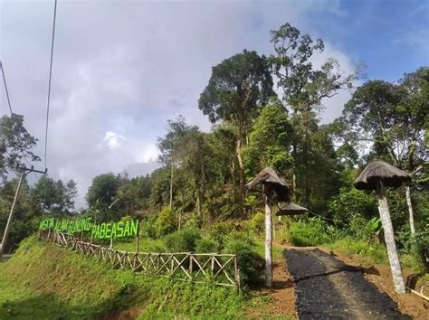 Wisata Alam Gunung Pabeasan Nikmati Keindahan Alam Yang Mempesona