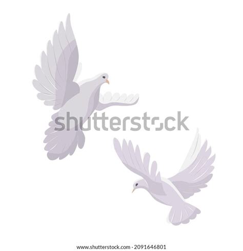 Set Two White Dove Flying Isolated Stock Vector Royalty Free