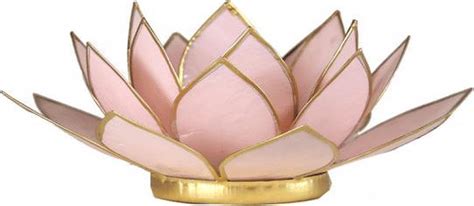 Lotus Sfeerlicht Pastel Roze Goudrand Cm S Bol