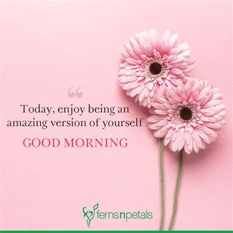 Good Morning Images Wishes Status Ferns N Petals