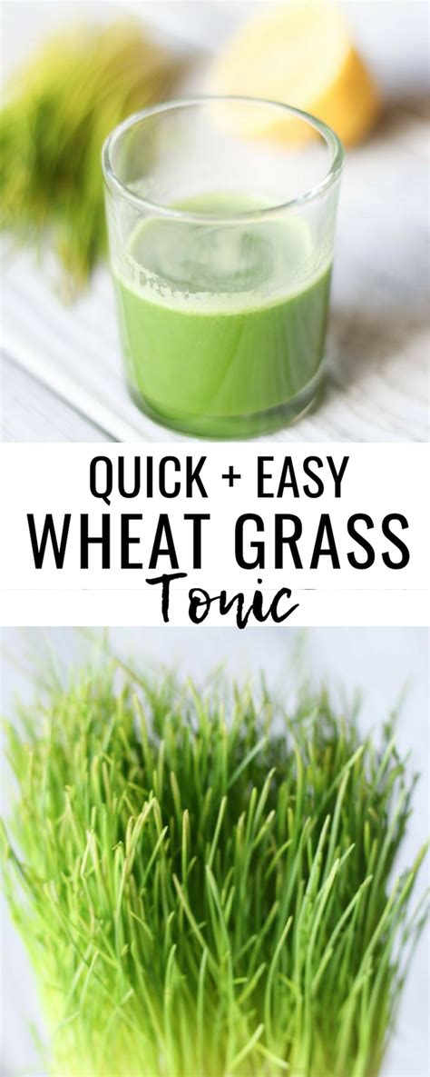 Wheatgrass Shot Recipe Dandk Organizer