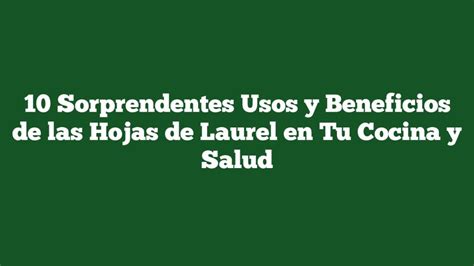 Sorprendentes Usos Y Beneficios De Las Hojas De Laurel En Tu Cocina