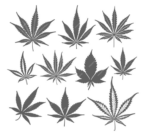 Premium Vector | Vector set off a cannabis leaf