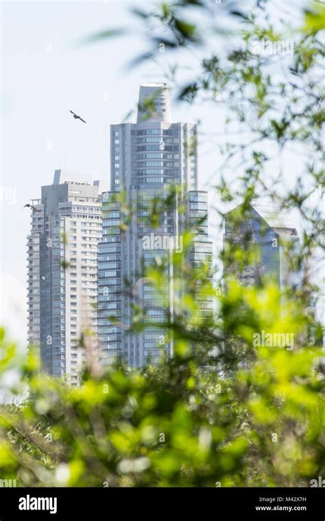 Reserva Ecológica De Puerto Madero Fotografías E Imágenes De Alta Resolución Alamy