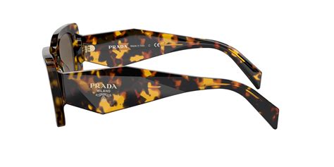 Prada Pr 08ys Havana Sunglasses Vision Express