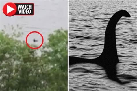 Loch Ness Monster ‘caught On Camera’ By Stunned Couple As Expert Deems Sighting Credible Daily