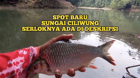 Spot Baru Mancing Tawes Sirip Merah Di Sungai Ciliwung Kota Depok