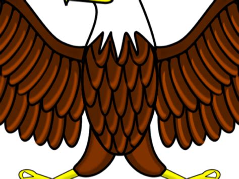 White Tailed Eagle Clipart Shaheen Png Download Full Size Clipart