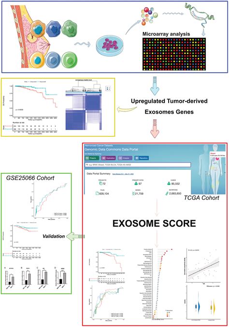 Tumor Derived Exosomes Rna Expression Profiling Identifies The