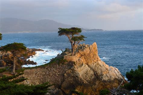 Monterey Attractions | What to do in this Californian coastal gem