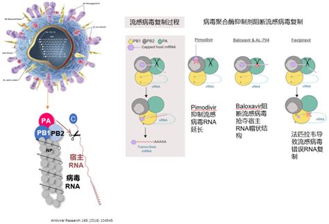 曹彬教授：高质量证据指导呼吸道病毒感染的治疗丨解密流感（4）腾讯新闻