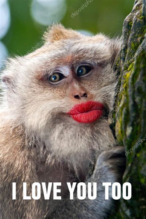 Funny monkey with a red lips — Stock Photo © watman #69189025