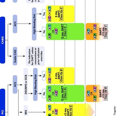 Algorithm For Dual Antiplatelet Therapy Dapt In Patients Treated With