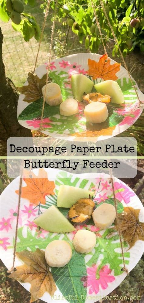 Decoupage Paper Plate Butterfly Feeder Craft Blissful Domestication