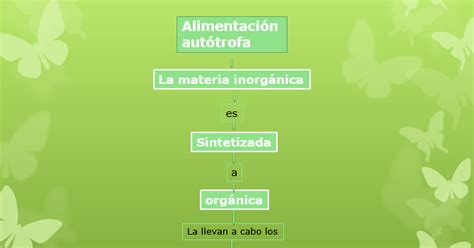 Biologia Nutrici N Aut Trofa Y Quimios Ntesis