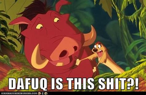 Timon And Pumbaa Dafaq Dafuq Know Your Meme