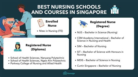 Best Nursing Schools And Courses In Singapore Homage