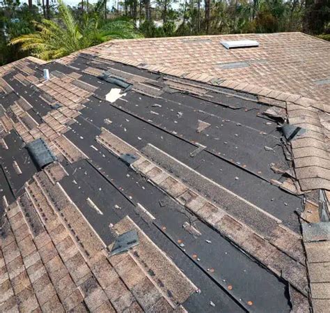 5 Signs Your Roof Needs Repair Newyorkspremiergroup