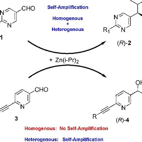 Scheme 1 Absolute Asymmetric Catalysis With Pyridine And Pyrimidine