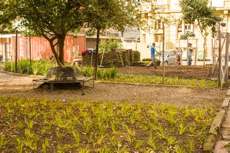 Desafio Será Manter O Paisagismo Da Praça Coronel Pedro Osório Amigos