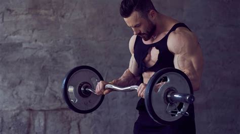 10 Best Barbell Biceps Exercises for Massive Arms - The Fitness Phantom