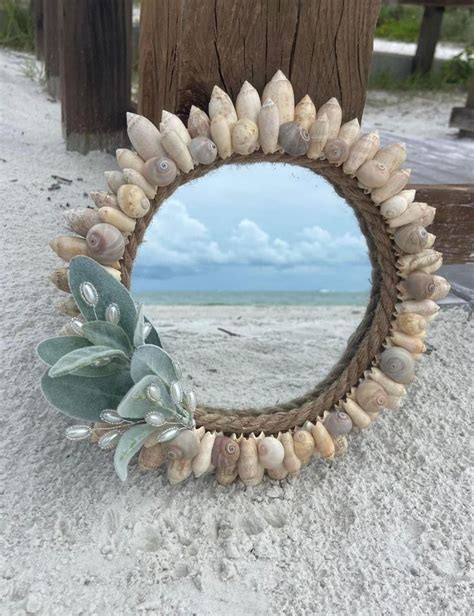 Seashell Olive And Shark Eye Mirror Nautical Decor Coastal Living