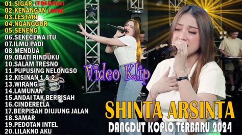 SHINTA ARSINTA FULL ALBUM TERBARU 2024 DANGDUT KOPLO TERBARU 2024