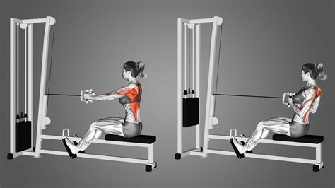 What are the Benefits of Doing Cable Rows? - Inspire US