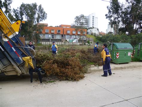 I Municipalidad de Viña del Mar realiza operativo de recolección de